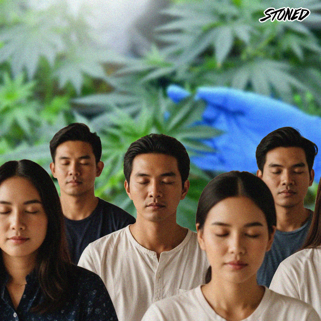 Cannabis and Mental Wellness: Thailand's Progressive Approach to Alternative Therapies