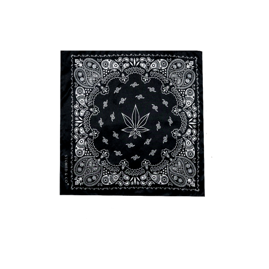 Void : Bandana Black