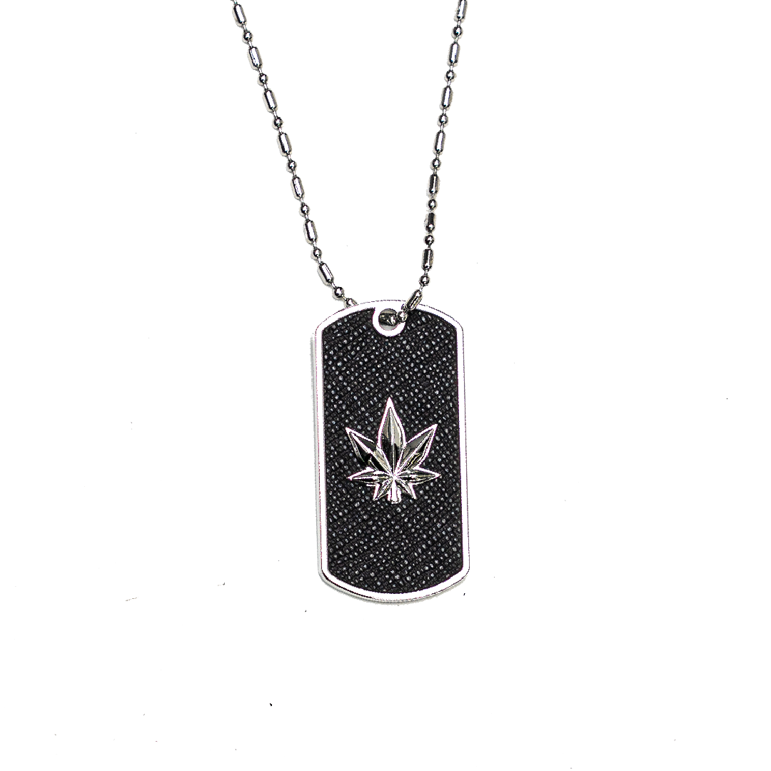 สร้อยคอป้ายทหาร | Stoned : Military Tag Necklace